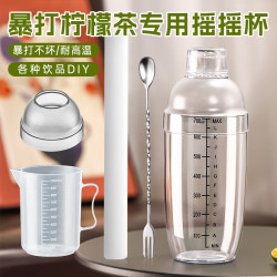 塑料加厚雪克杯 500ml 女士家用调酒器套装