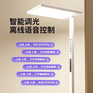  大满贯 全光谱护眼 落地护眼灯 【长颈鹿Pro】普瑞芯片 5A级护眼 RG0级蓝光