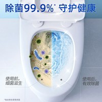 88VIP：蓝月亮 去污除垢 马桶清洁剂