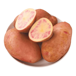 相遇红颜 云南新鲜红皮土豆 5斤小果带箱(单果50-100g)