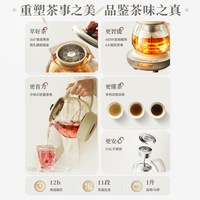 Bear/小熊 蒸汽喷淋式 养生壶