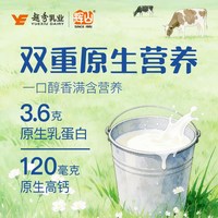  Huishan/辉山 3.6g蛋白 纯牛奶