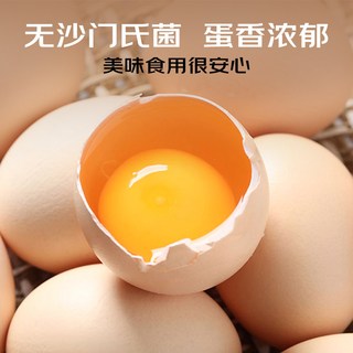  壹号土 无沙门氏菌 土鸡蛋