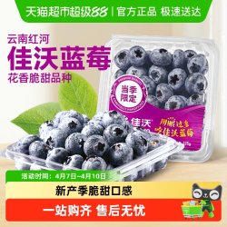 佳沃 秘鲁蓝莓大果礼盒装125g/盒*4/6盒新鲜水果