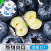 京喜 云南蓝莓  精选果 8盒 越多越划算