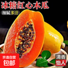 海南 正宗红心牛奶木瓜 带箱5斤净重4.5斤（单果300g+）