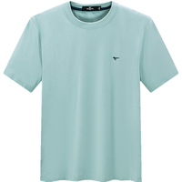  SEPTWOLVES/七匹狼 凉感速干抗菌 男士短袖T恤 5XL 195/108A 212(粉绿)凉感速干有狼标2135