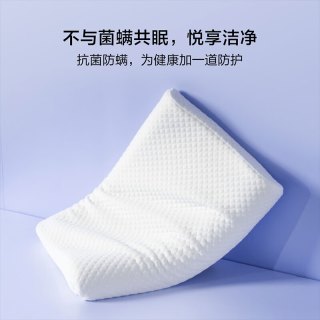 水星家纺 乳胶颈椎枕 &泰国进口 &乳胶原液 透气阻螨乳胶枕 B类 一对