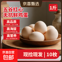 京喜 五谷红心无抗鲜鸡蛋 10枚
