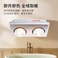  DELIXI/德力西 速热 壁挂式灯暖浴霸 两灯壁挂灯暖：550W取暖+独立开关+多孔散热