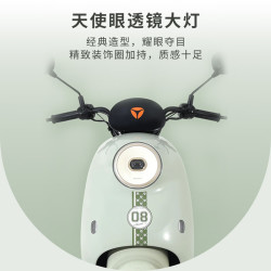 雅迪 80KM超长续航 电动摩托车 铅酸电池