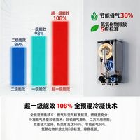  力科 一级能效 壁挂炉