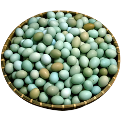 知楚 湖北麻城绿壳山鸡蛋 60枚 1500g