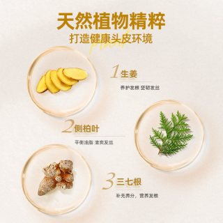  养元青 控油蓬松 洗发水