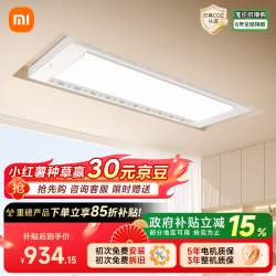 米家 智能晾衣机Pro月光白