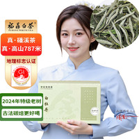 金馆长 特级白牡丹福鼎白茶闻香2024年 300g(50克*6袋)