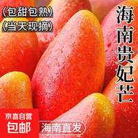 贵妃 芒果 带箱4斤甄选装 单果100g+