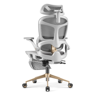 国家补贴：永艺 元宝椅Pro 人体工学椅