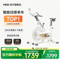 摩刻 智能磁控 动感单车