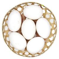  逗别三日 农家散养 鹅蛋