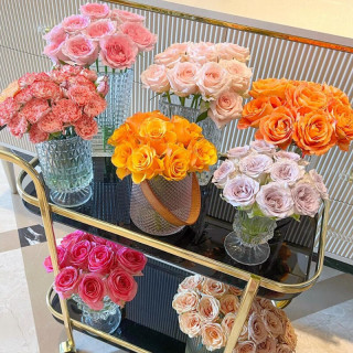 京东鲜花 基地源头直发 玫瑰鲜切花