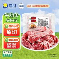 皓月 国产谷饲黄牛肉 原切牛肋条2斤