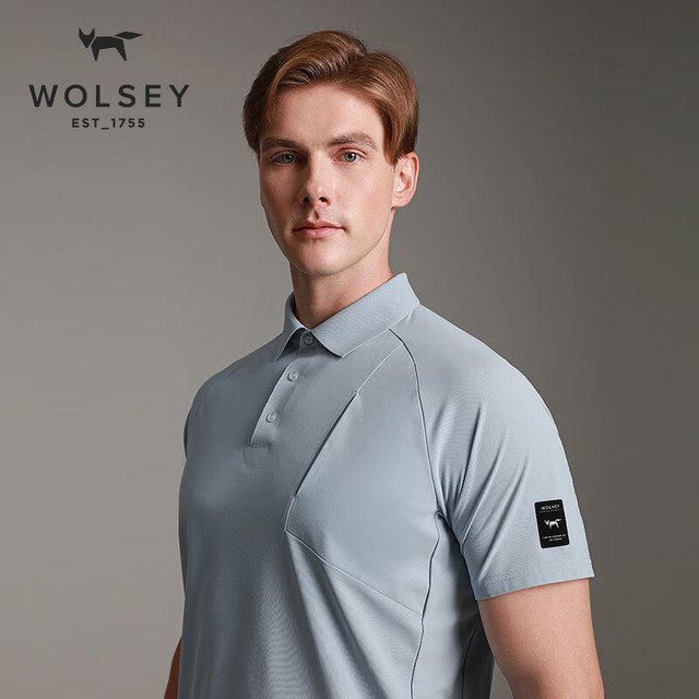 WOLSEY -AEBL呼吸速干Polo衫夏季户外休闲运动吸湿透气翻领短袖T恤男士 蓝雾色 XL