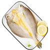 三去开背大黄鱼350g*1条