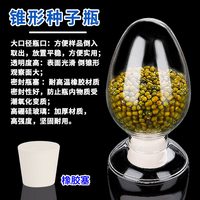 六鑫 种子瓶250ml玻璃锥形瓶化学实验器材科学实验初中生实验室男孩女孩开学季必备用品