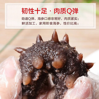 移动端、京东百亿补贴：海赋 大连辽刺参 即食海参1斤9-12只 *4