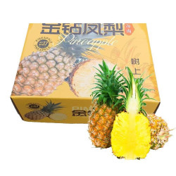 MPPMCK 特大果 海南 金钻凤梨 4.5斤装 1-2个