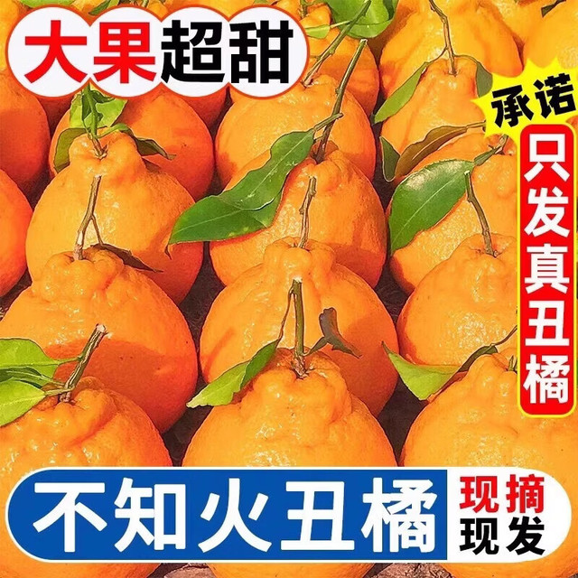 果跃霖 丑橘  净4.5斤
