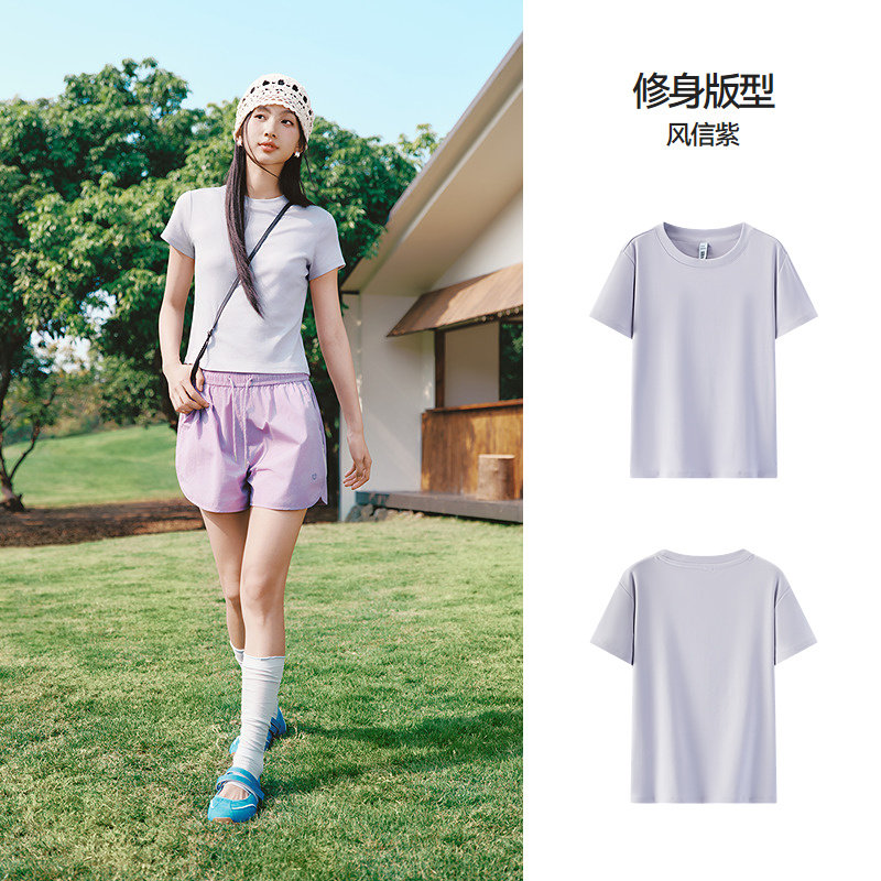 风信紫70626