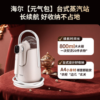  Haier/海尔 AI智能识衣 挂烫机