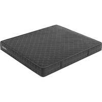  LINSY/林氏家居 专利双层弹簧 床垫  20-25cm（含） 180*200cm 偏硬