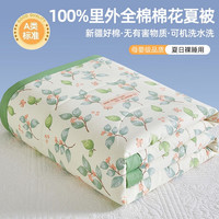  克努帛 可机洗水洗 夏凉被
