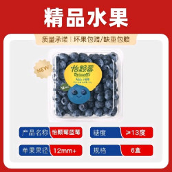 怡颗莓 云南蓝莓12mm+*125g*6盒
