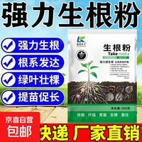 移动端、京东百亿补贴：发根强力生根液生根粉移栽 2包