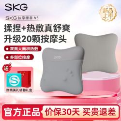 SKG 未来 多功能 腰部按摩仪