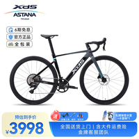 喜德盛 AD350功率计公路车单盘12速碳前叉碳座管骑行车