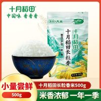 十月稻田东北长粒香米500g新鲜