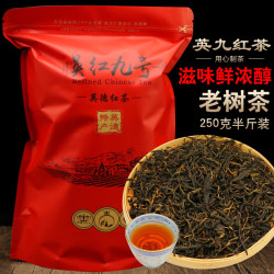 隆晨 英德红茶 英红九号红茶 500克礼盒装 红茶茶叶 高山古树红茶 半斤250克（简易袋装1包）