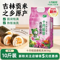 十月稻田 香稻贡米 5kg 袋装