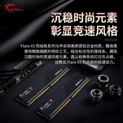 G.SKILL Trident Z5 RGB DDR5-6000 CL30 AMD EXPO 台式机内存条