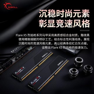 G.SKILL Trident Z5 RGB DDR5-6000 CL30 AMD EXPO 台式机内存条