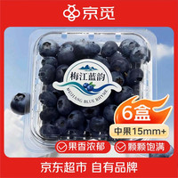 京觅 江西梅江蓝韵 花香蓝莓 100g*6盒 中果15mm+
