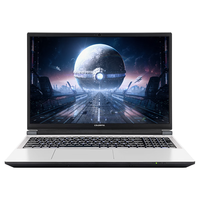  COLORFUL/七彩虹 隐星 P15 Pro AIPC电竞 游戏本笔记本电脑  Intel Core i7 14650HX 1920*1080 RTX 3050 灰色 144Hz 32GB 无