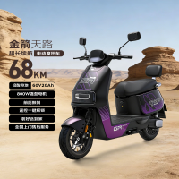 金箭 天路 JJ800DT-59 电动摩托车 800W 26L