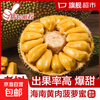 海南 三亚 黄肉菠萝蜜 17-21斤 新鲜水果