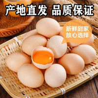 五谷喂养鲜鸡蛋 五谷土鸡蛋50g*20枚蛋